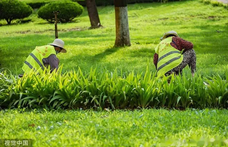 伊犁伊宁宇欣花木绿化工程