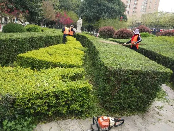 哈尔滨城市绿化常用的植物和花